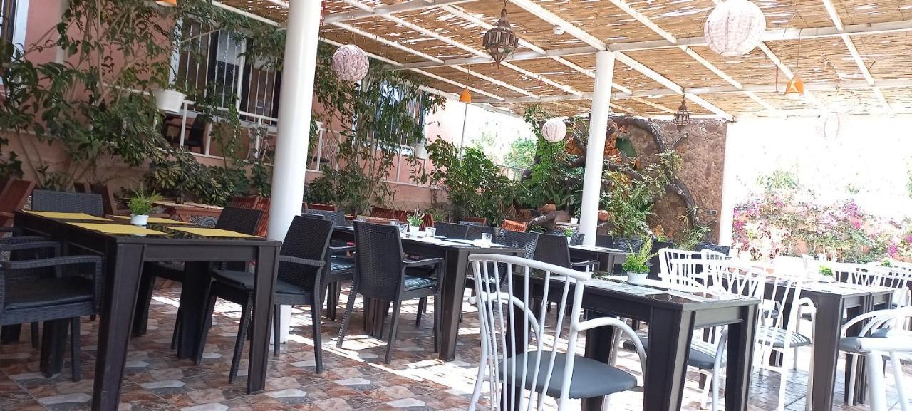 Ibisbird House La Bananeraie Tamri Εξωτερικό φωτογραφία
